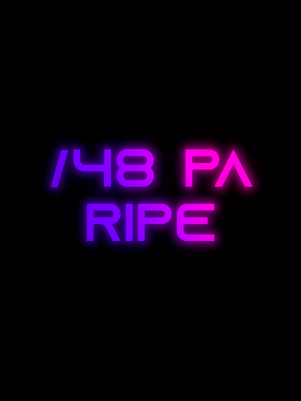 48PA